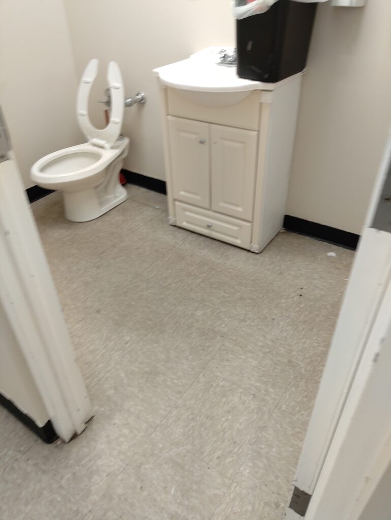 Bathroom Cleaning