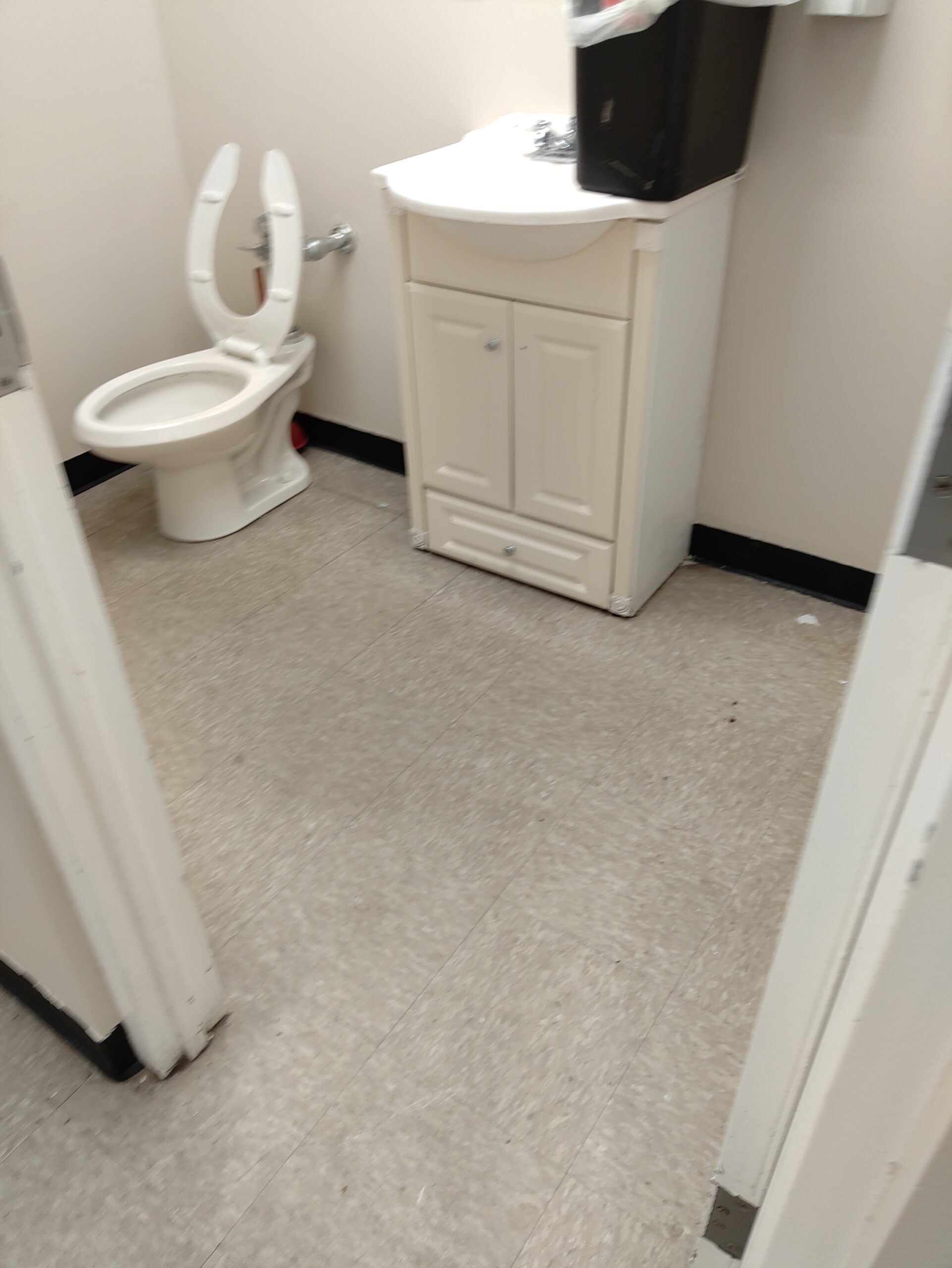 Bathroom Cleaning